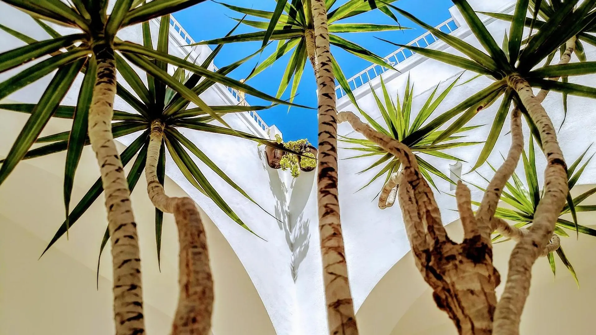 Hotel Vejerisimo Casa Boutique à Vejer de la Frontera